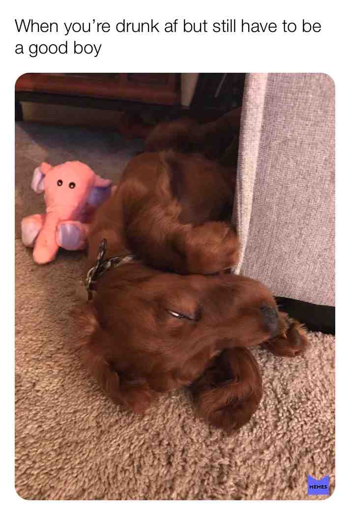 Meme shared by @ben_clarke564