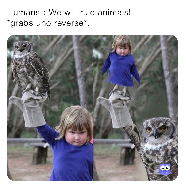 Humans : We will rule animals!         *grabs uno reverse*.    