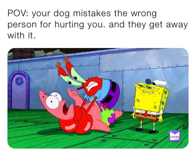 POV: your dog mistakes the wrong person for hurting you. and they get away with it.