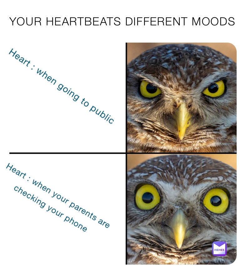 YOUR HEARTBEATS DIFFERENT MOODS