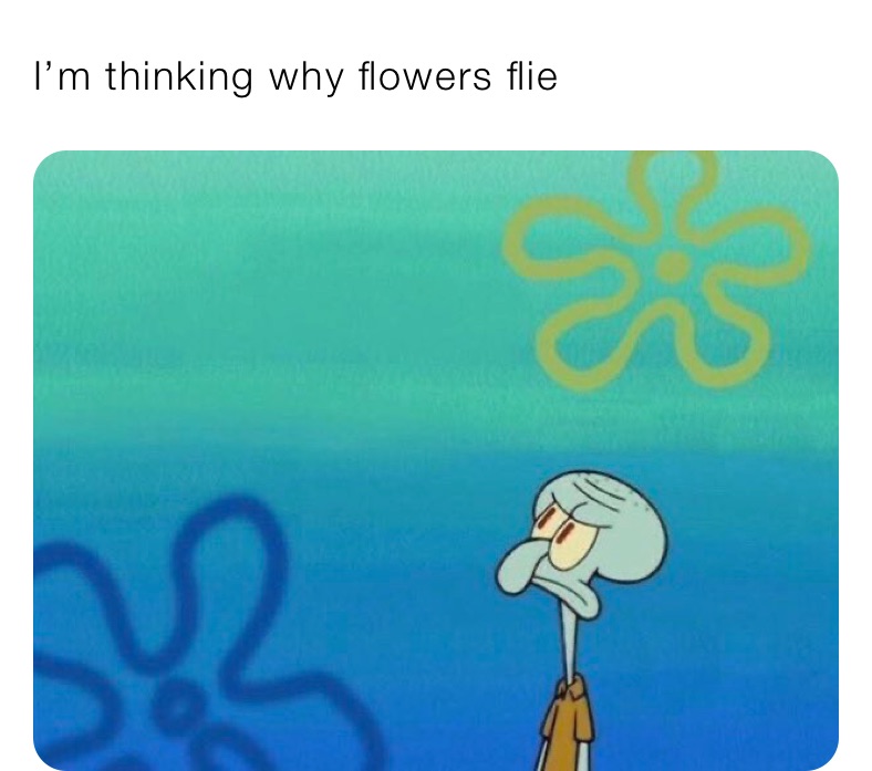 I’m thinking why flowers flie