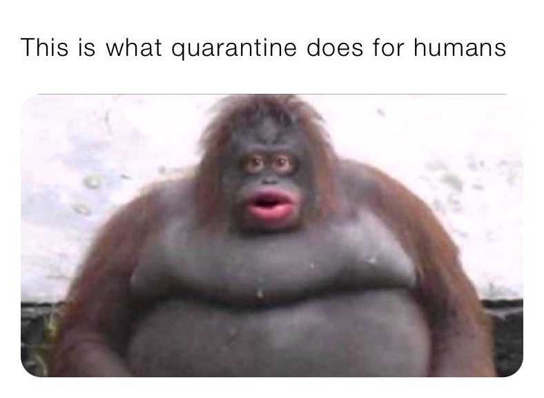 This is what quarantine does for humans