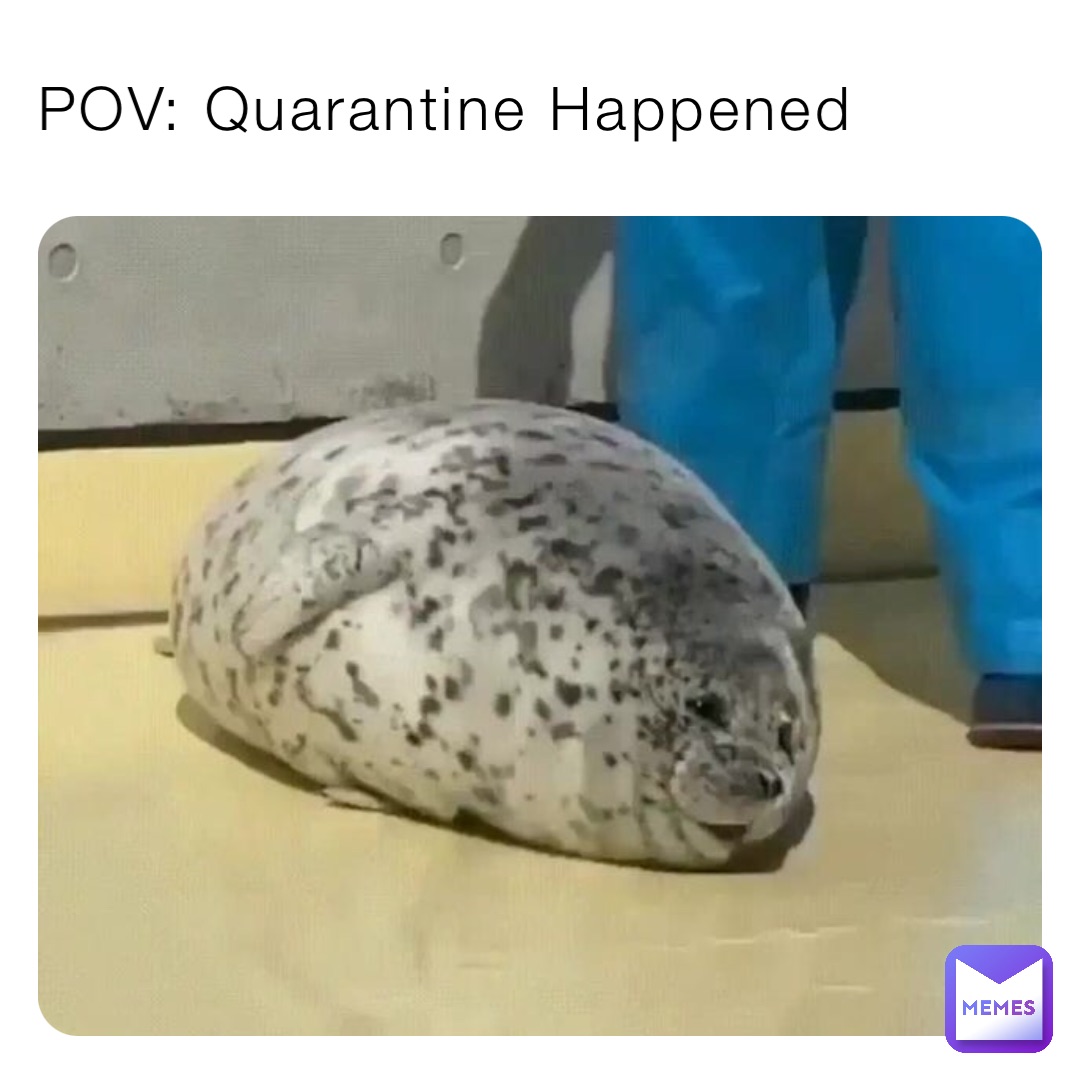POV: Quarantine Happened