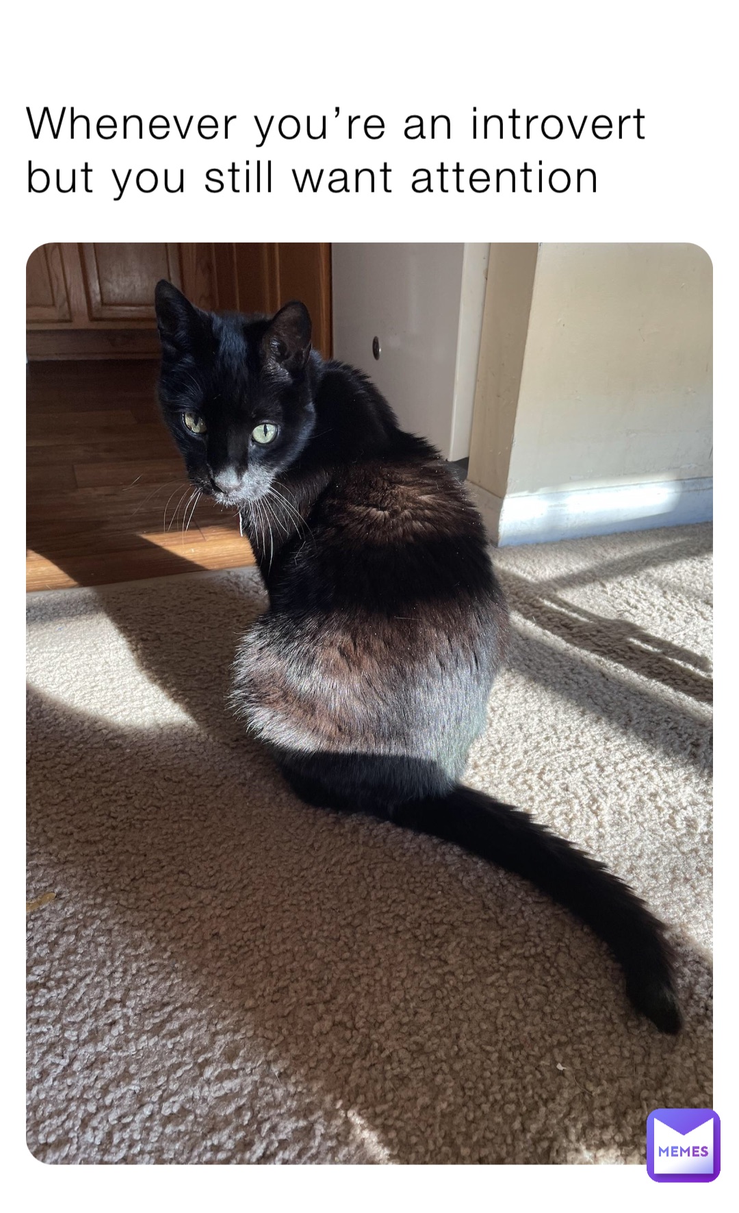 Meme by cp_cosplayer