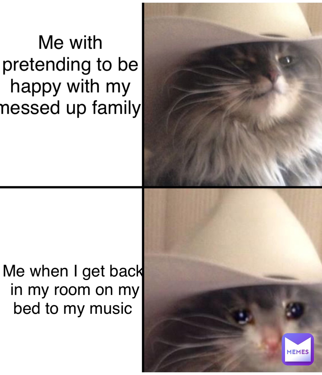 Meme by cp_cosplayer