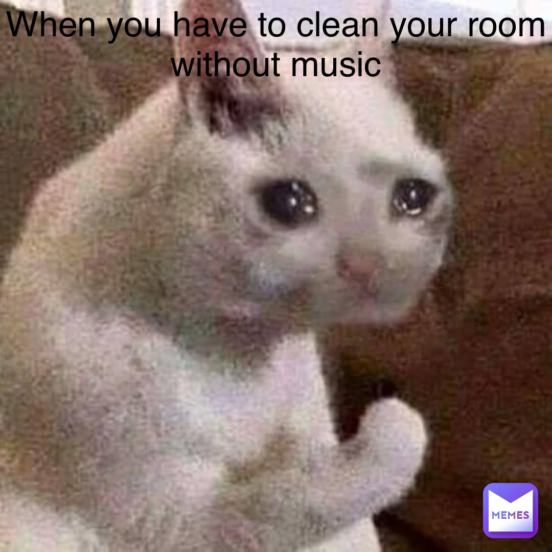 Meme by cp_cosplayer