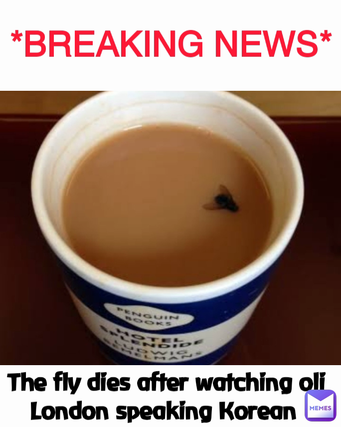 *BREAKING NEWS* The fly dies after watching oli London speaking Korean 