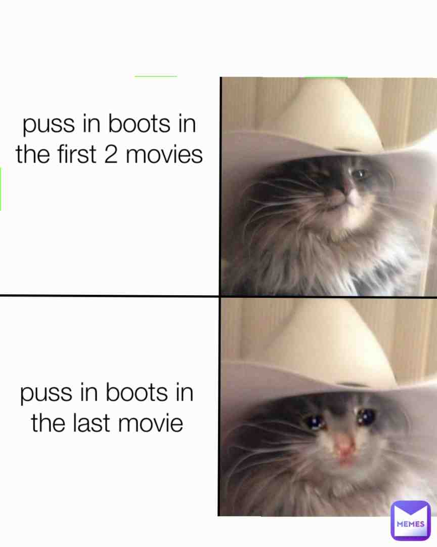 Puss in boots