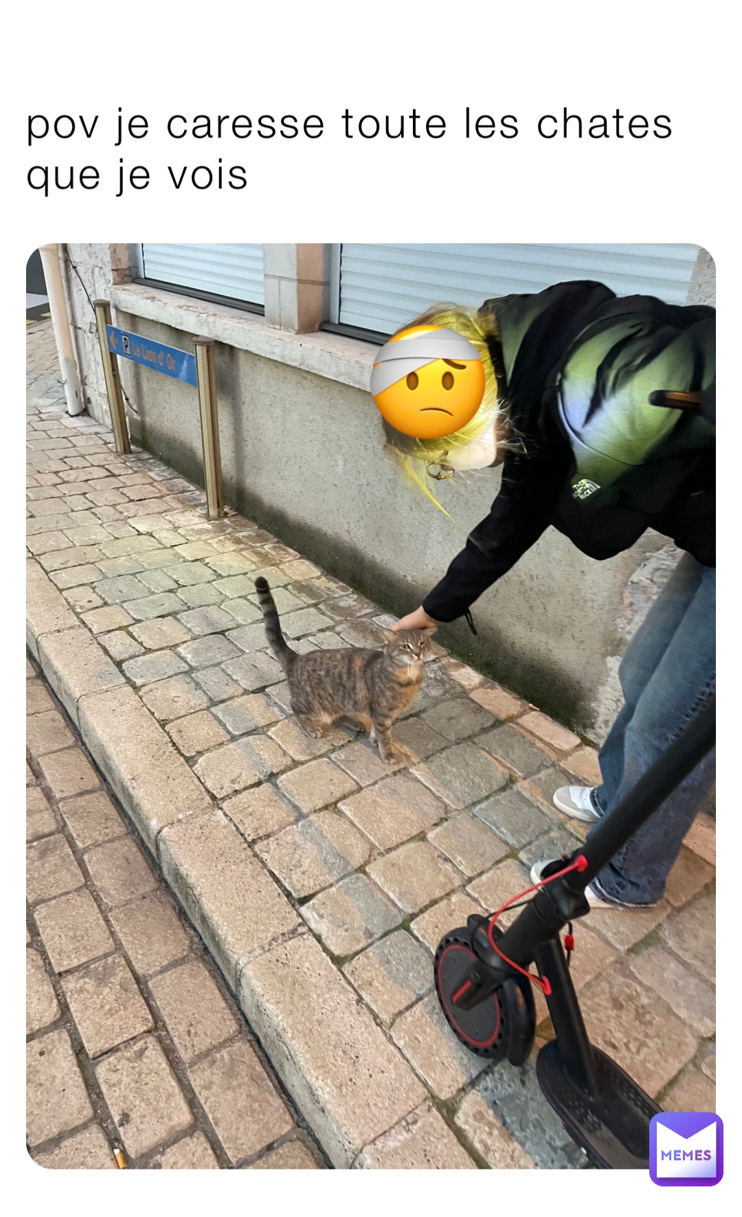 pov je caresse toute les chates que je vois 🤕