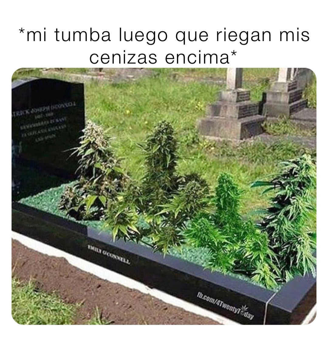 *mi tumba luego que riegan mis  cenizas encima*