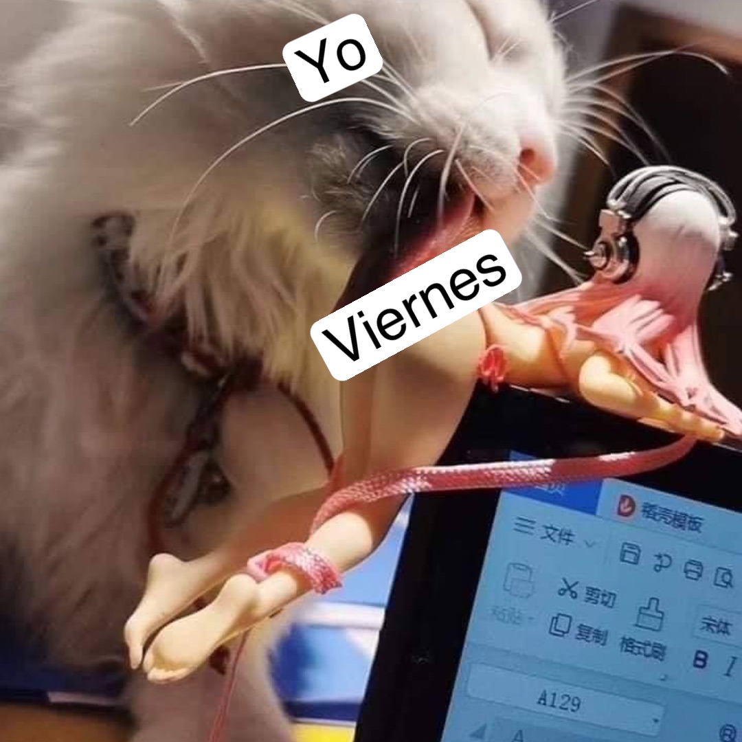 Ánimo gente 😪😴 #jueves #meme, image size:1080x1080