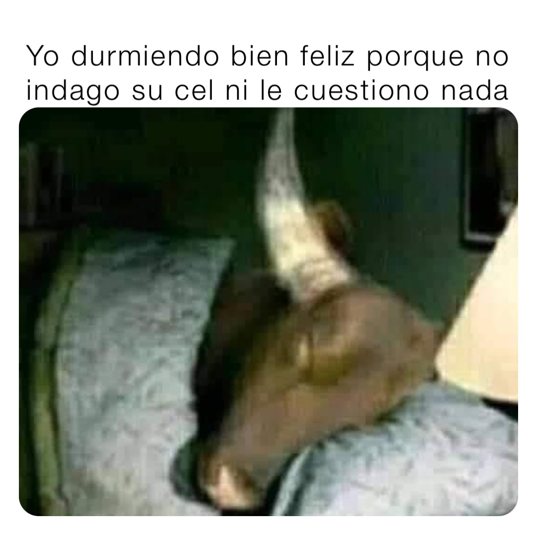 Yo durmiendo bien feliz porque no indago su cel ni le cuestiono nada