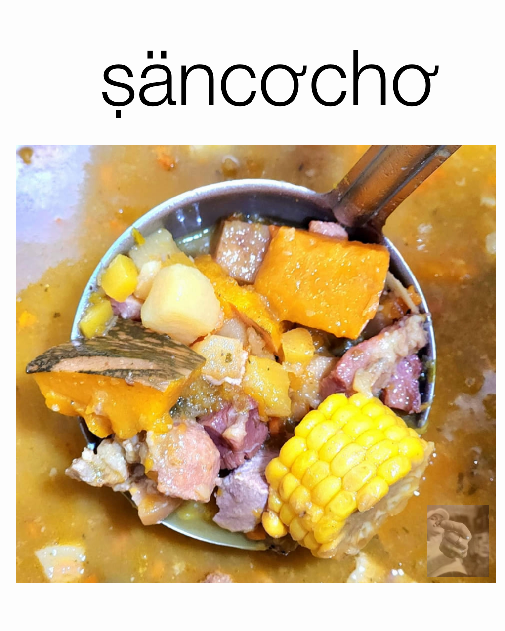 ṣäncơchơ