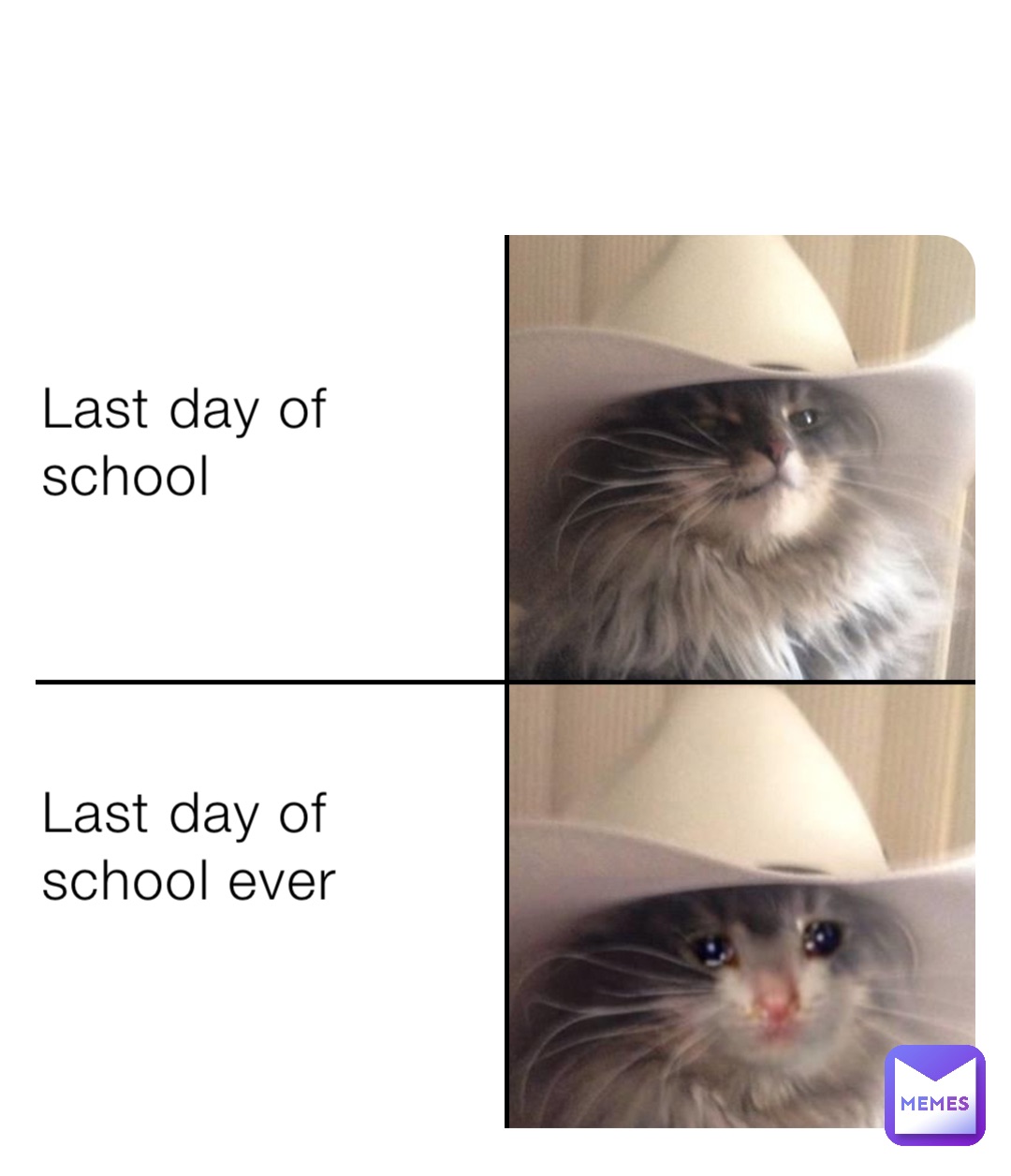 Last day of school




Last day of school ever