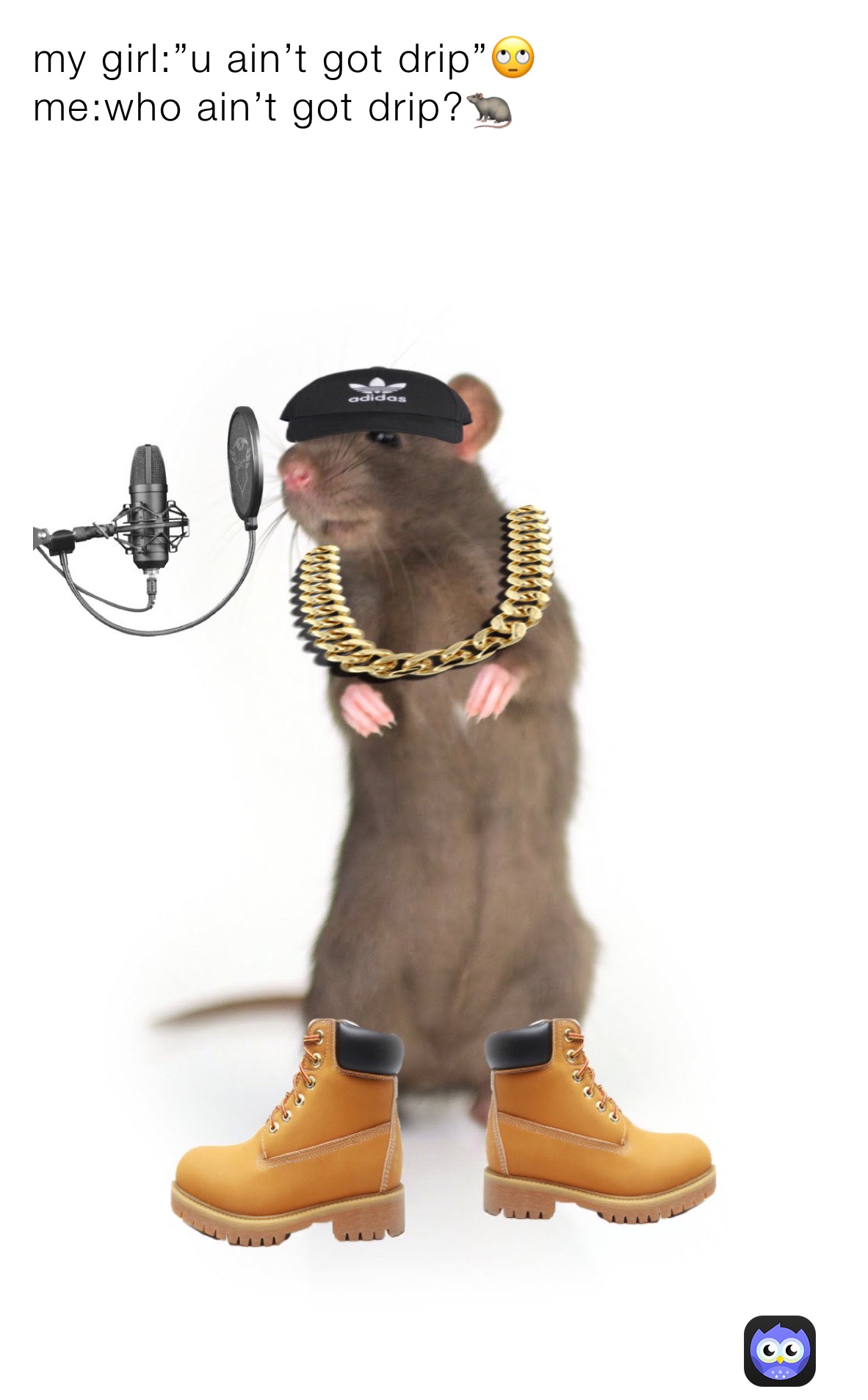 my girl:”u ain’t got drip”🙄
me:who ain’t got drip?🐀