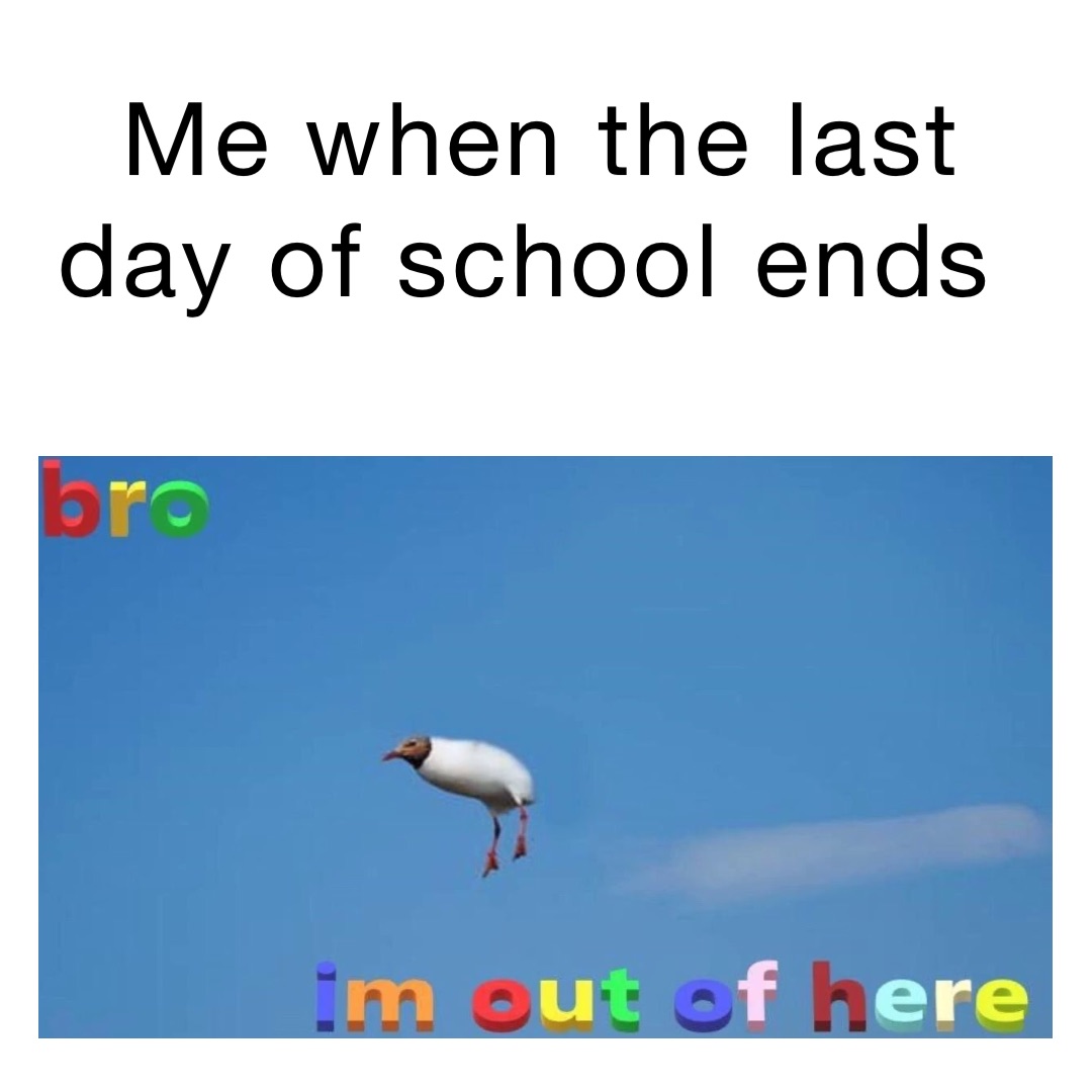 Me when the last day of school ends