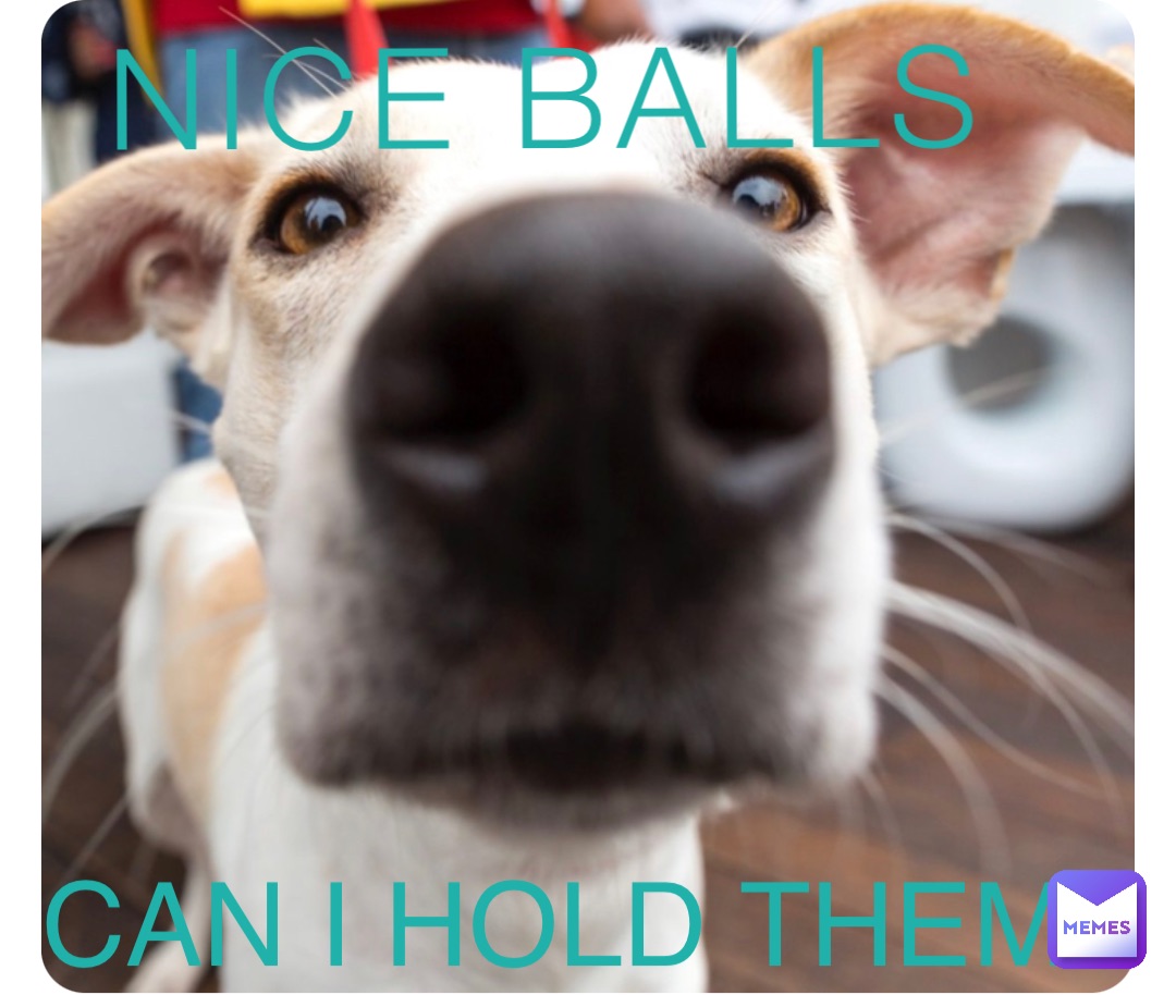 NICE BALLS CAN I HOLD THEM? oshiebooshie Memes