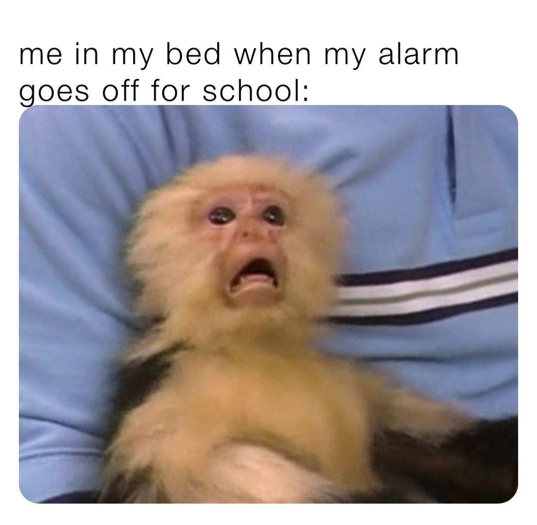 me in my bed when my alarm goes off for school: