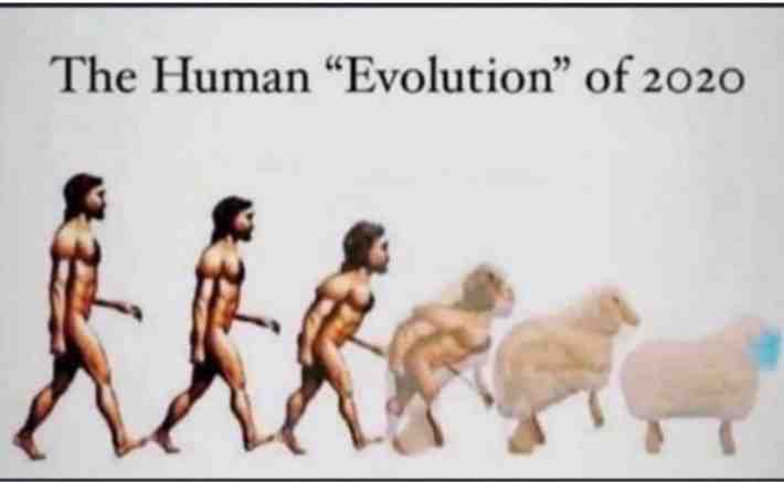 Very true! #covid19memes #corrupt #sheeple #evolution