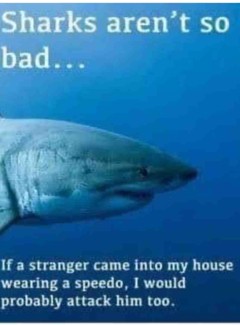 Meme shared by @Z1MBA