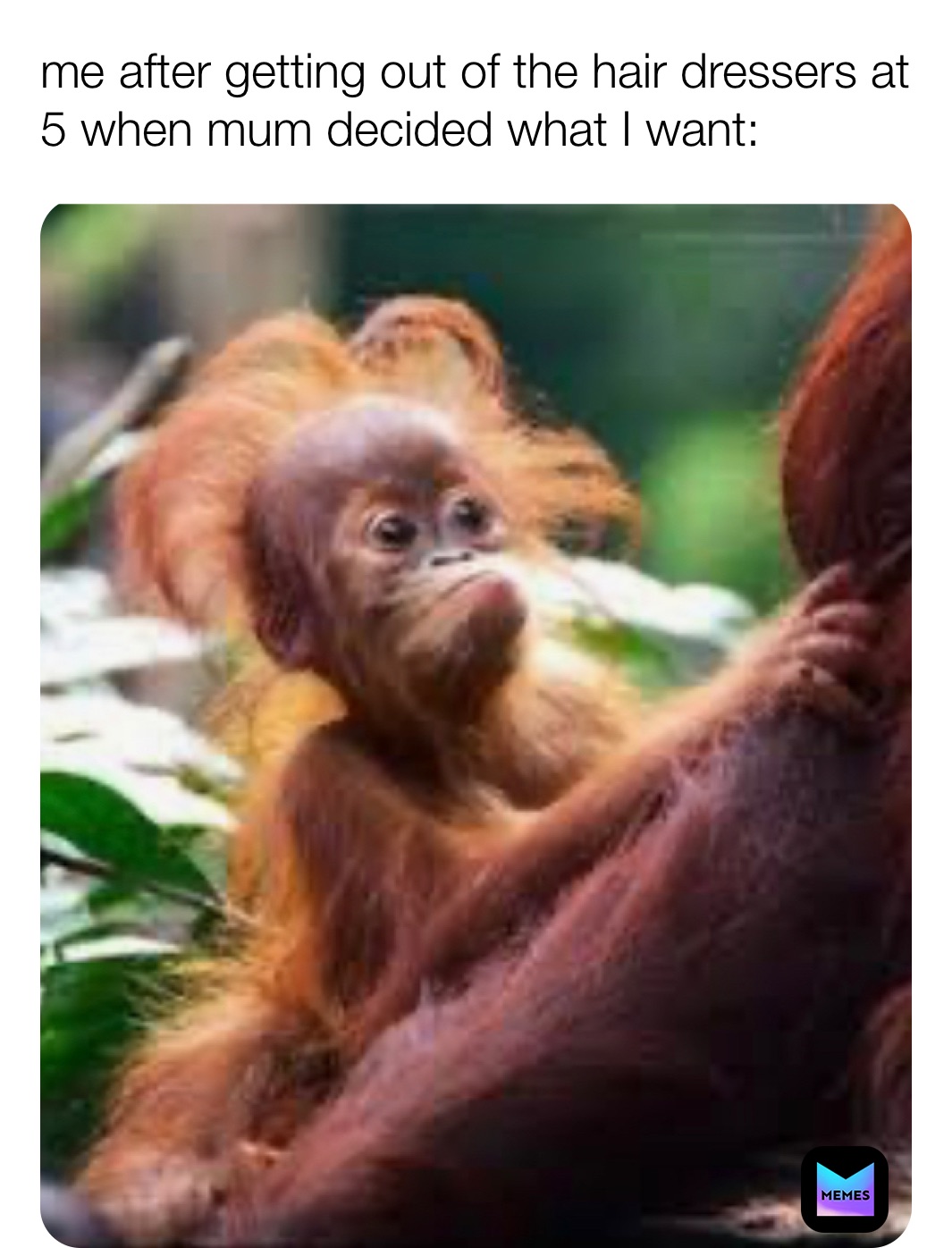 Meme by dank__donkeey6969