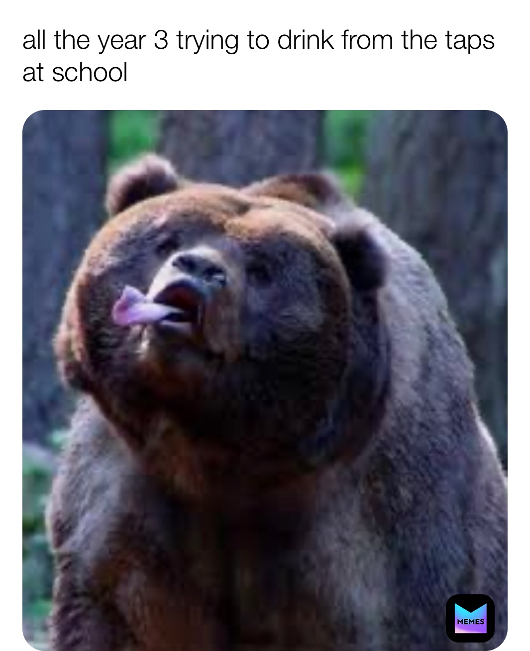 Meme by dank__donkeey6969