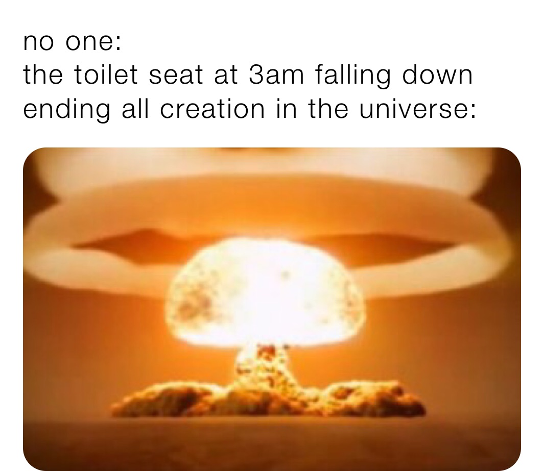 no one the toilet seat at 3am falling down ending all creation in the