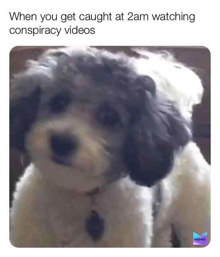 Lol, that\u2019s totally me
#meme #new #firstpost #firstmeme #dog #floof #2am #conspiracy