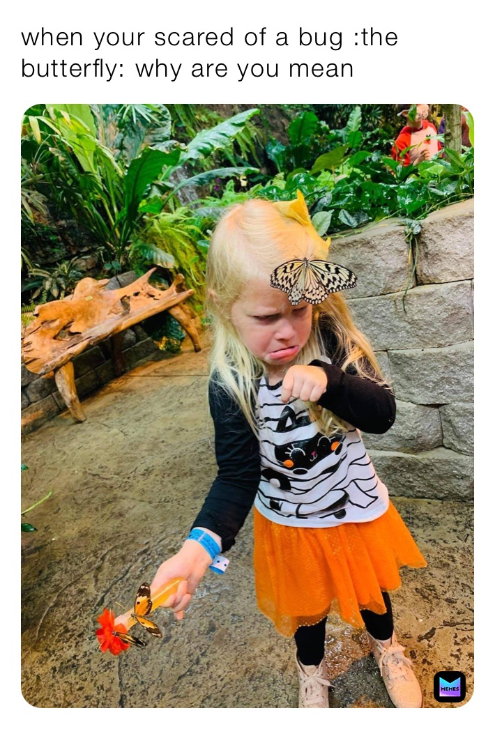 when your scared of a bug :the butterfly: why are you mean