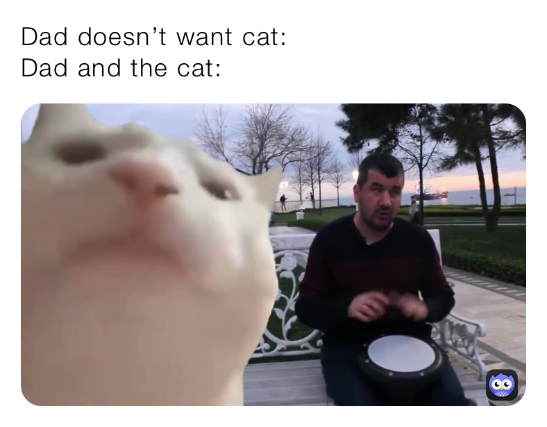 Dad doesn’t want cat:
Dad and the cat: