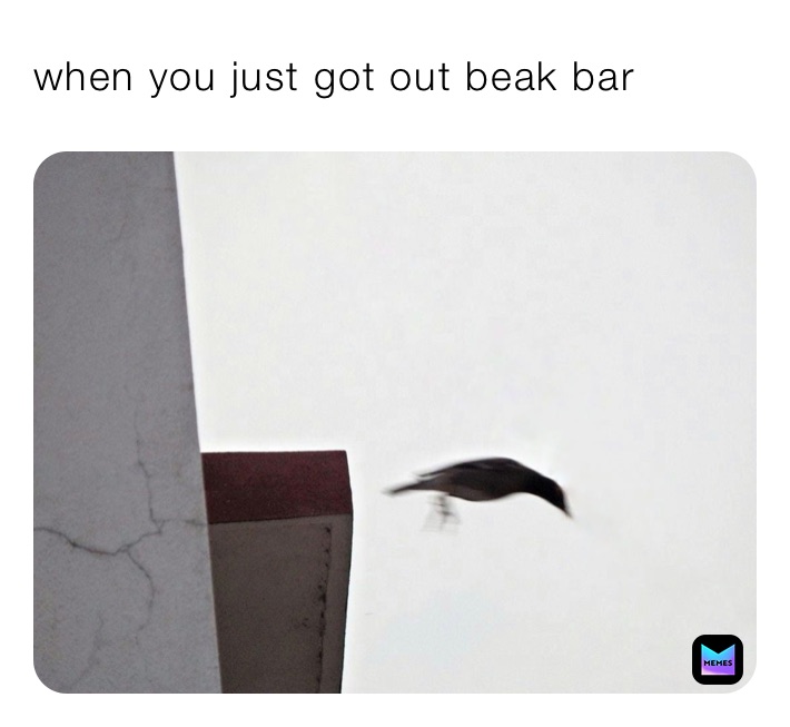 when you just got out beak bar 