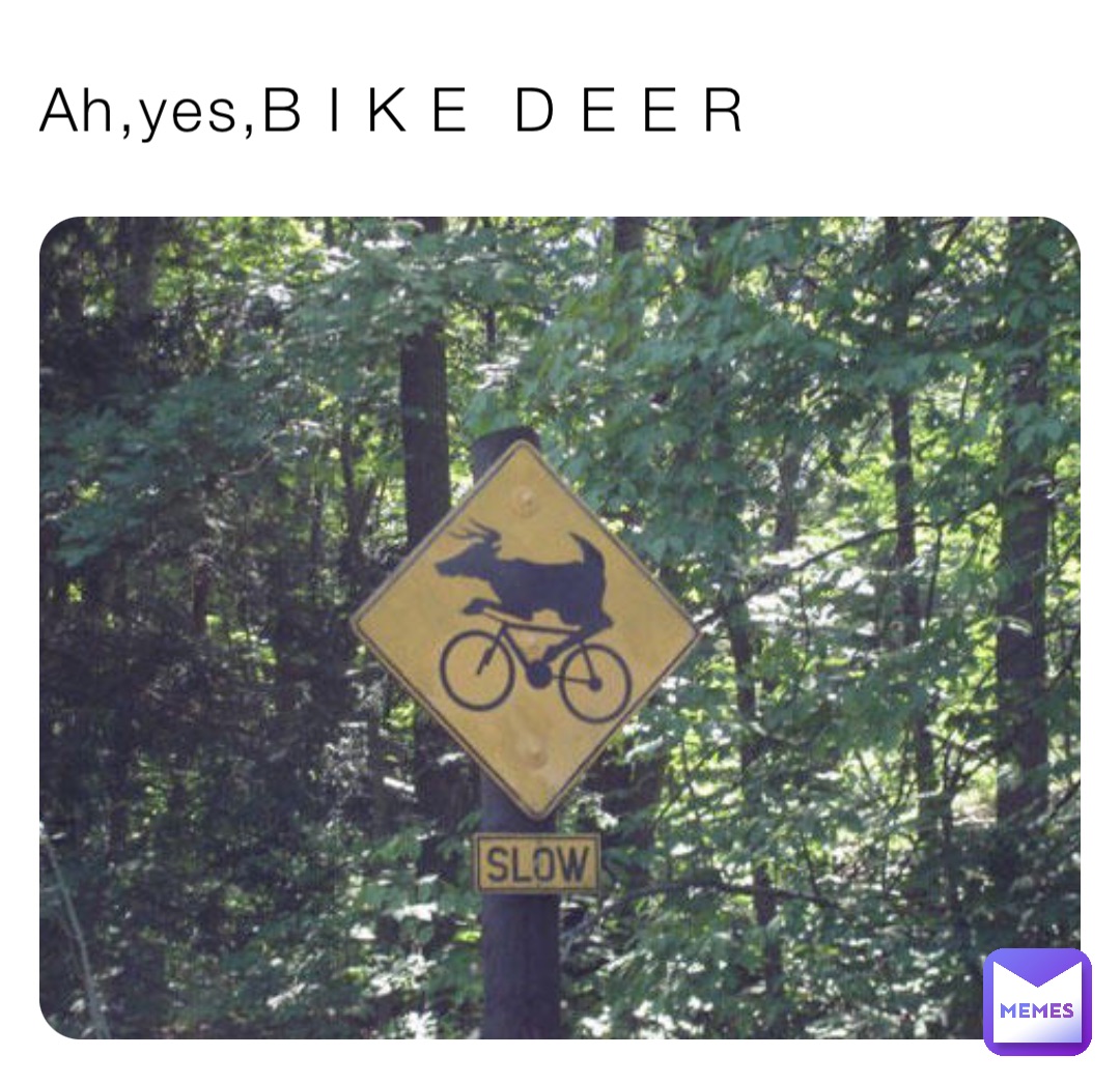 Ah,yes,B I K E  D E E R
