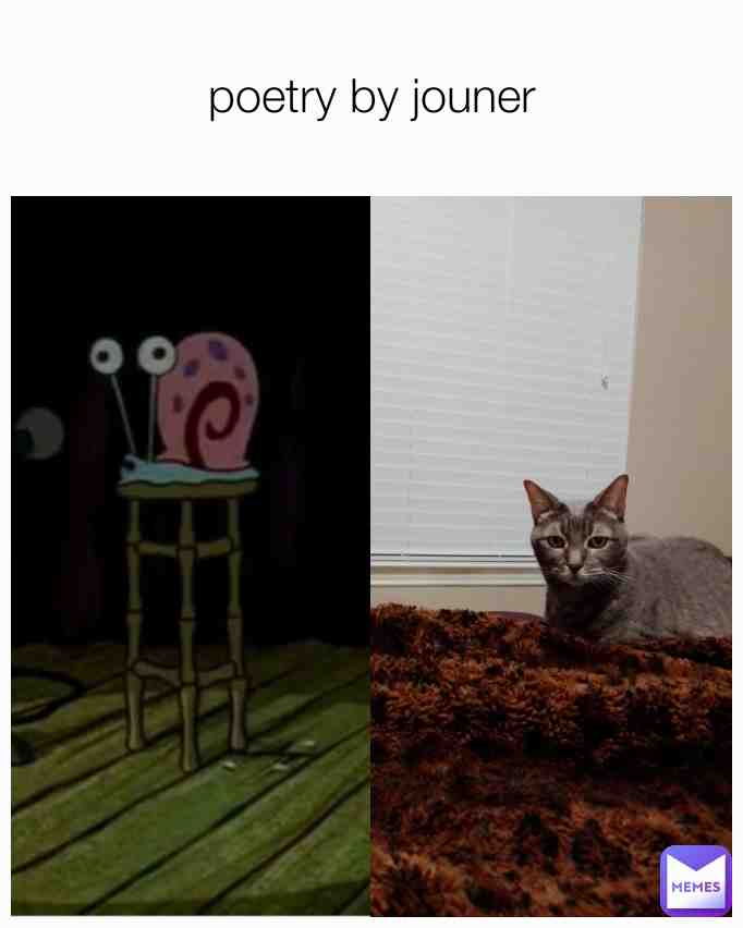 Meme shared by @niccode
