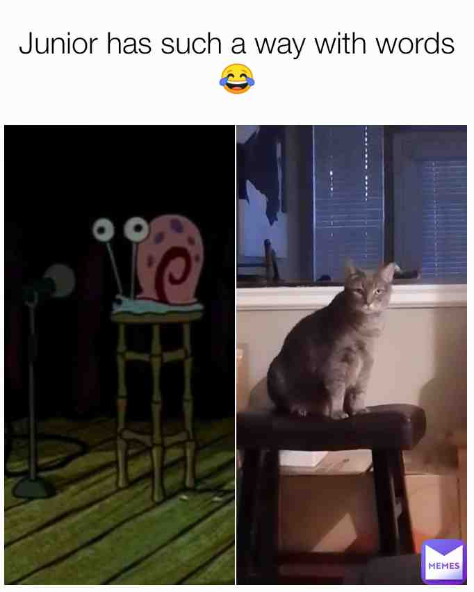 Meme shared by @niccode