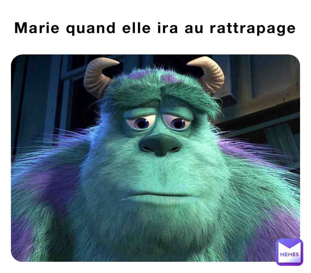 Meme shared by @anouck_cch