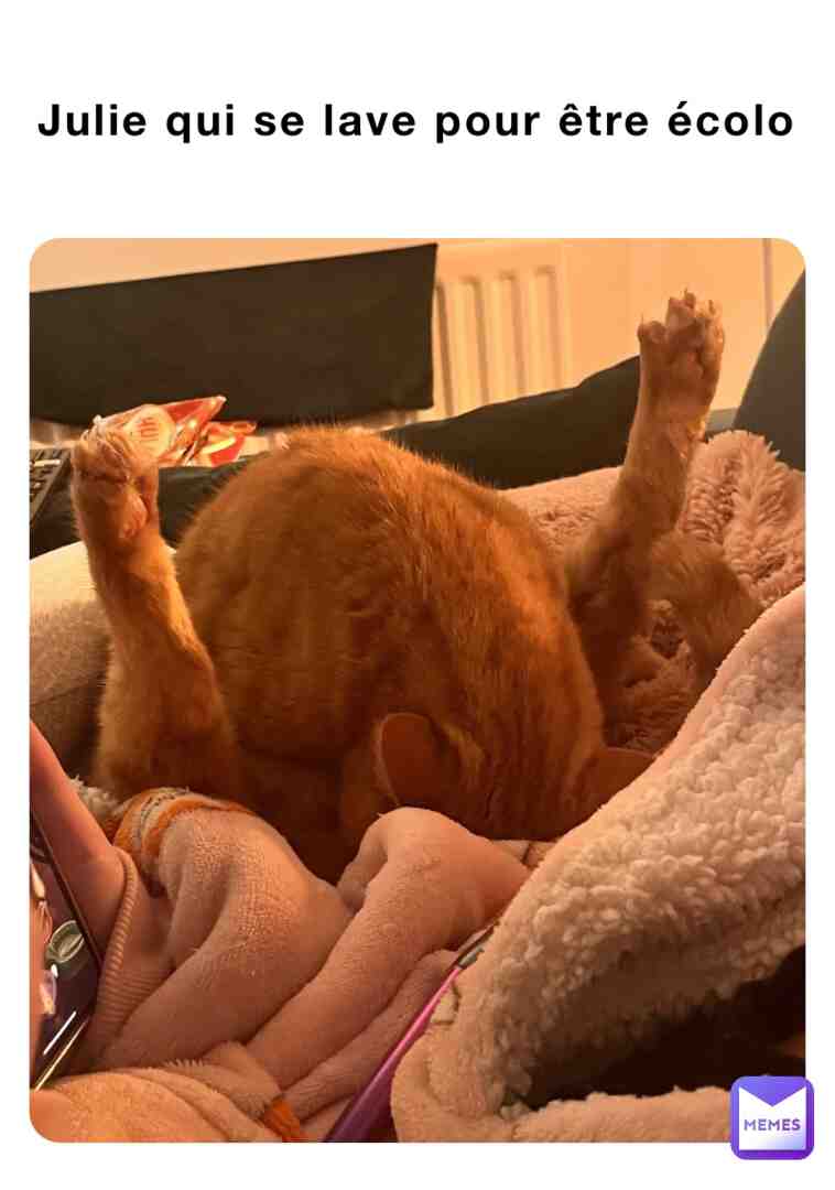 Meme preview