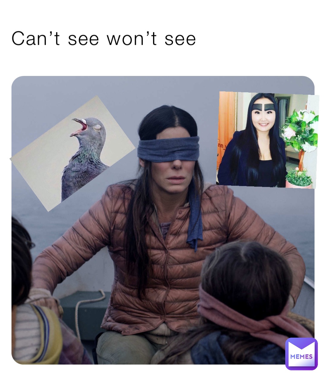 Can’t see won’t see