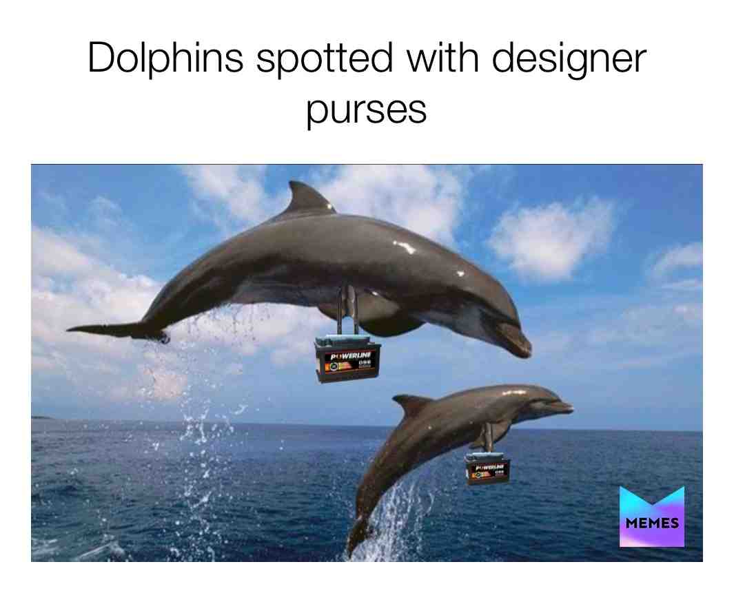 #ocean #dolphin #battery #carbattery #purse #jumping