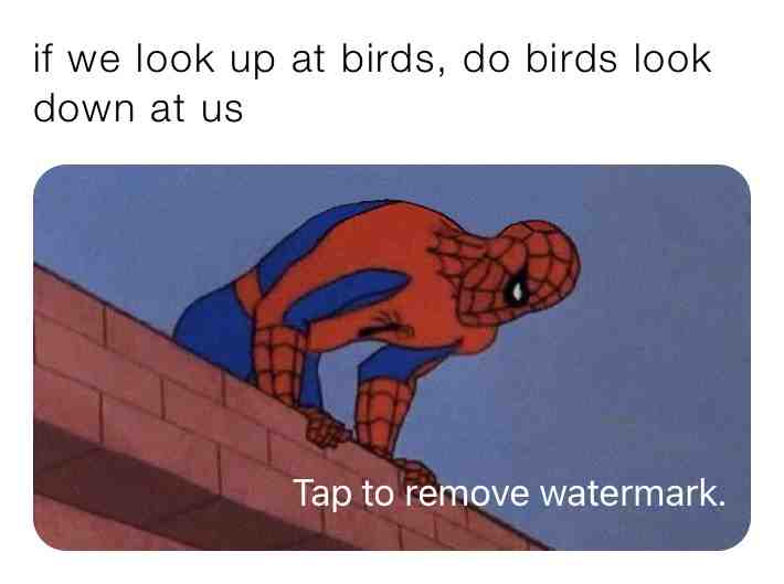 Meme shared by @GRUZINKLEBELL