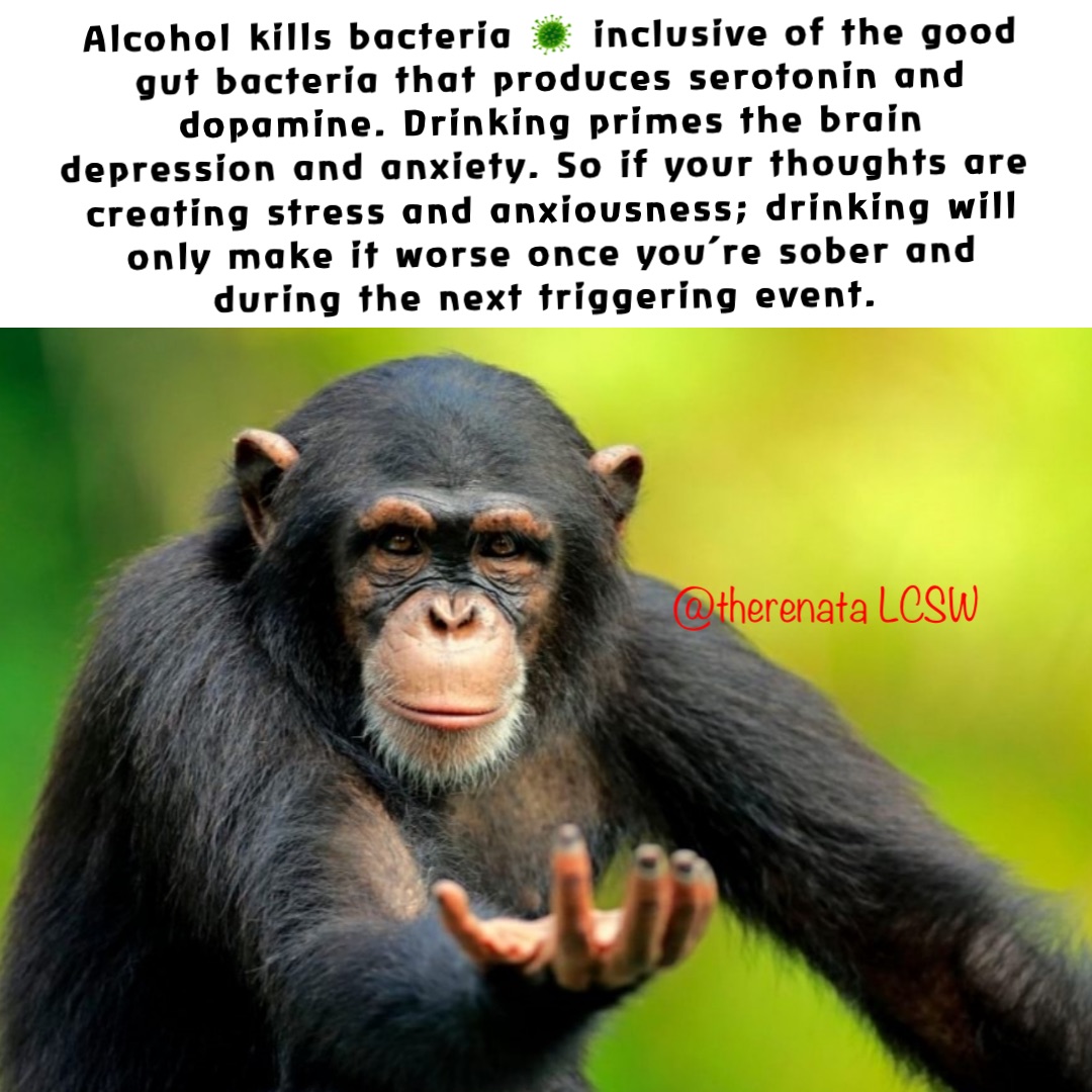 Alcohol kills bacteria 🦠 inclusive of the good gut bacteria that produces serotonin and dopamine. Drinking primes the brain depression and anxiety. So if your thoughts are creating stress and anxiousness; drinking will only make it worse once you’re sober and during the next triggering event.