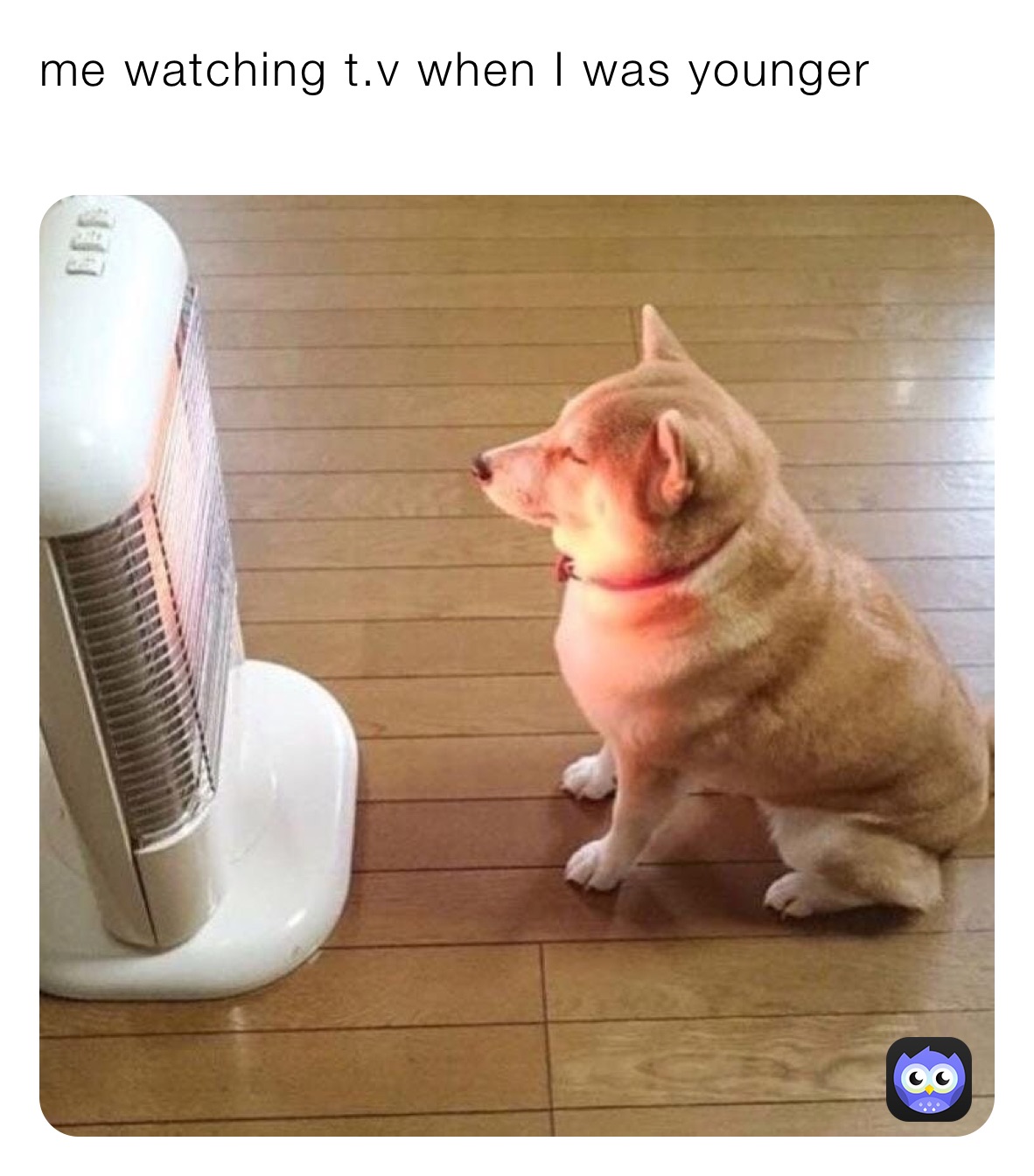 me watching t.v when I was younger 
