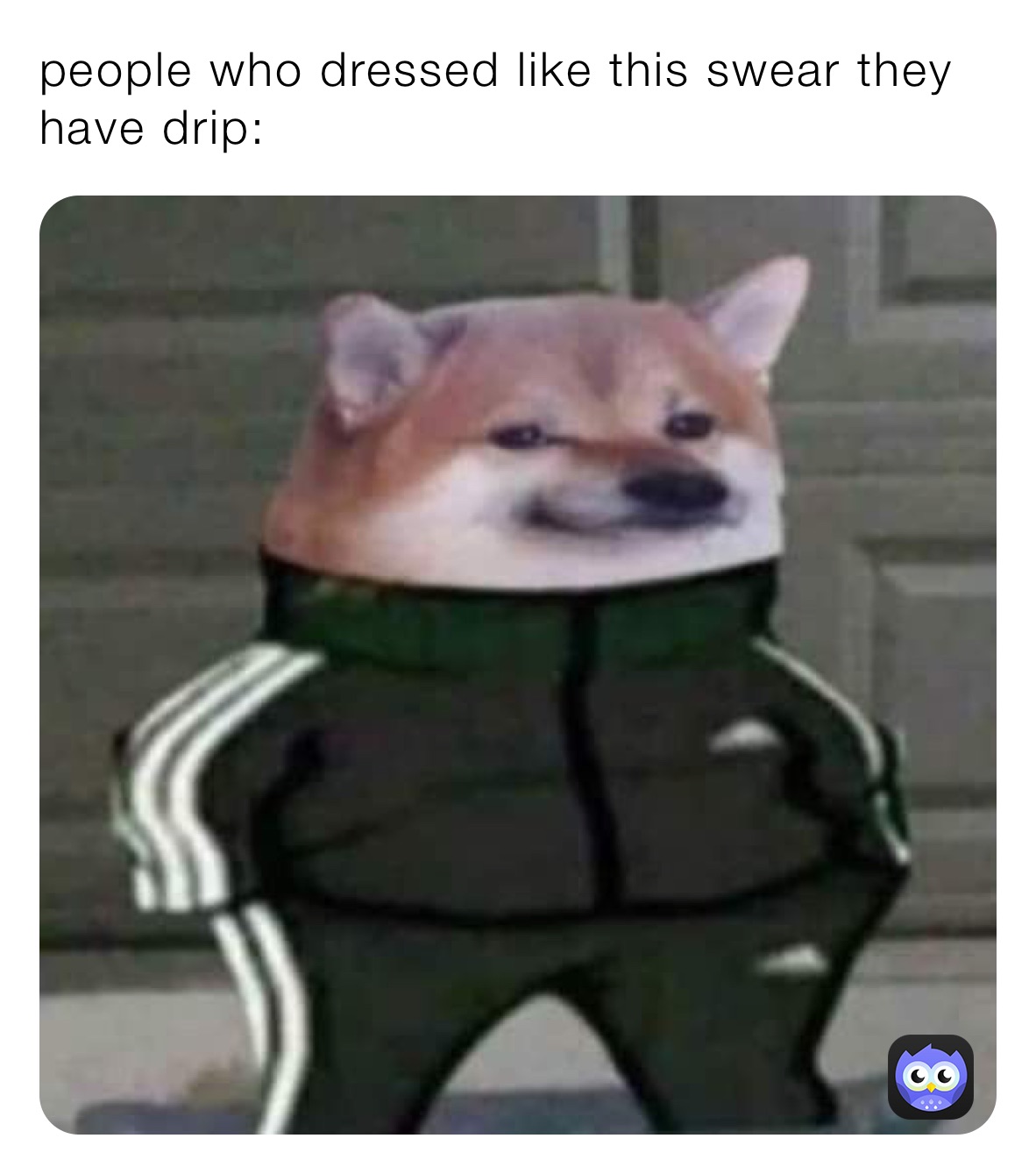 people who dressed like this swear they have drip: