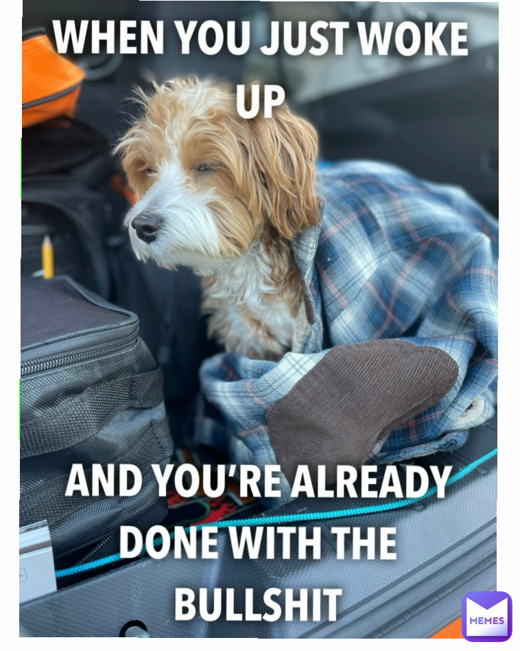 Meme by HAUTHINKIMYOURFRIEND