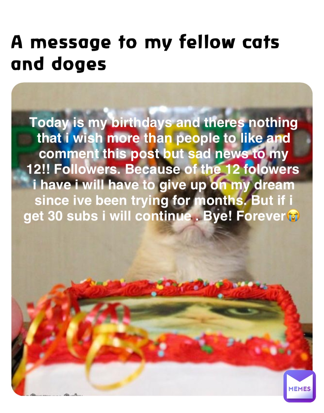 A message to my fellow cats and doges Today is my birthdays and theres nothing that i wish more than people to like and comment this post but sad news to my 12!! Followers. Because of the 12 folowers i have i will have to give up on my dream since ive been trying for months. But if i get 30 subs i will continue . Bye! Forever😭