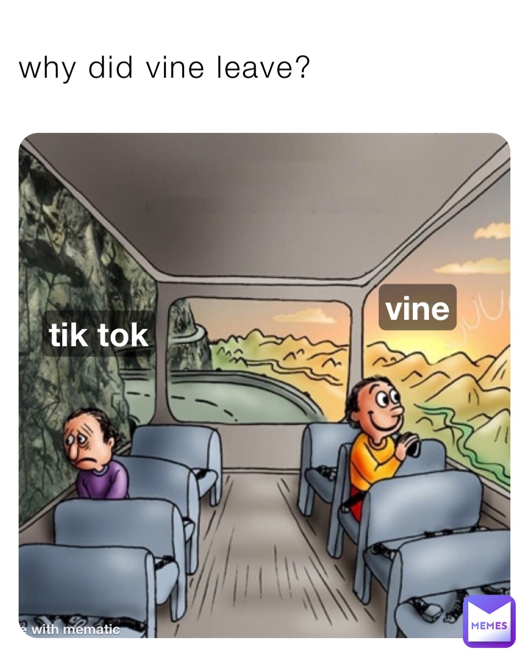 why did vine leave?