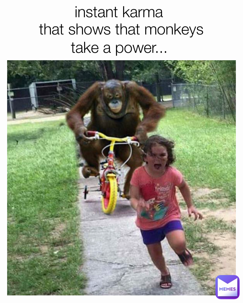that shows that monkeys take a power...  instant karma