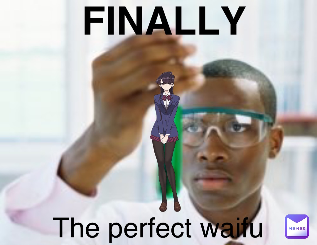 FINALLY The perfect waifu