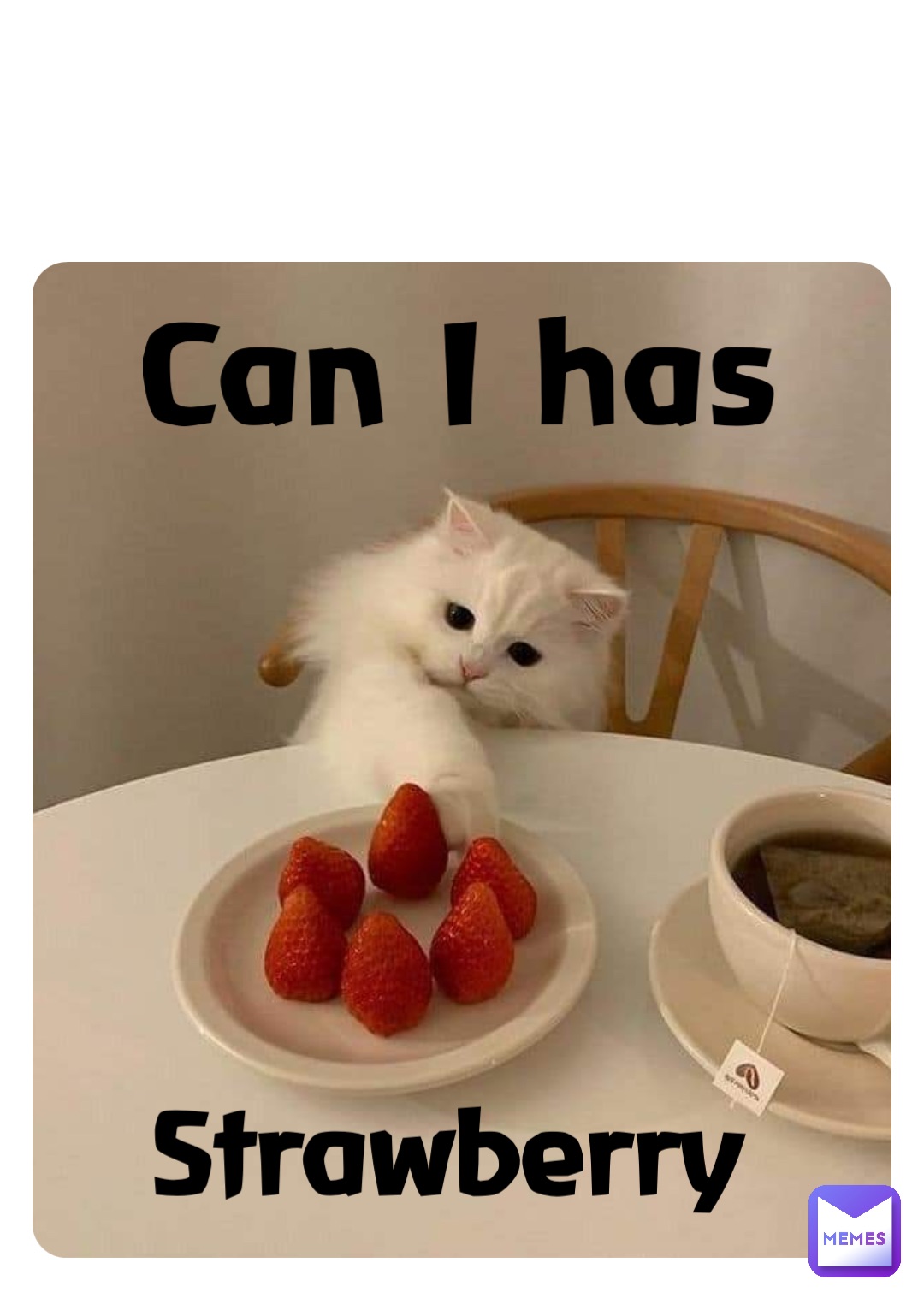 Can I has Strawberry