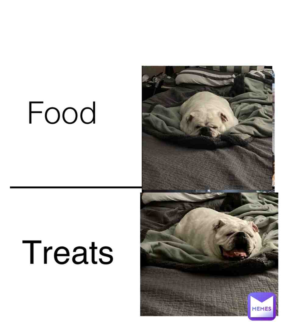 #dog