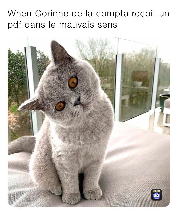 Meme by nataloche0506